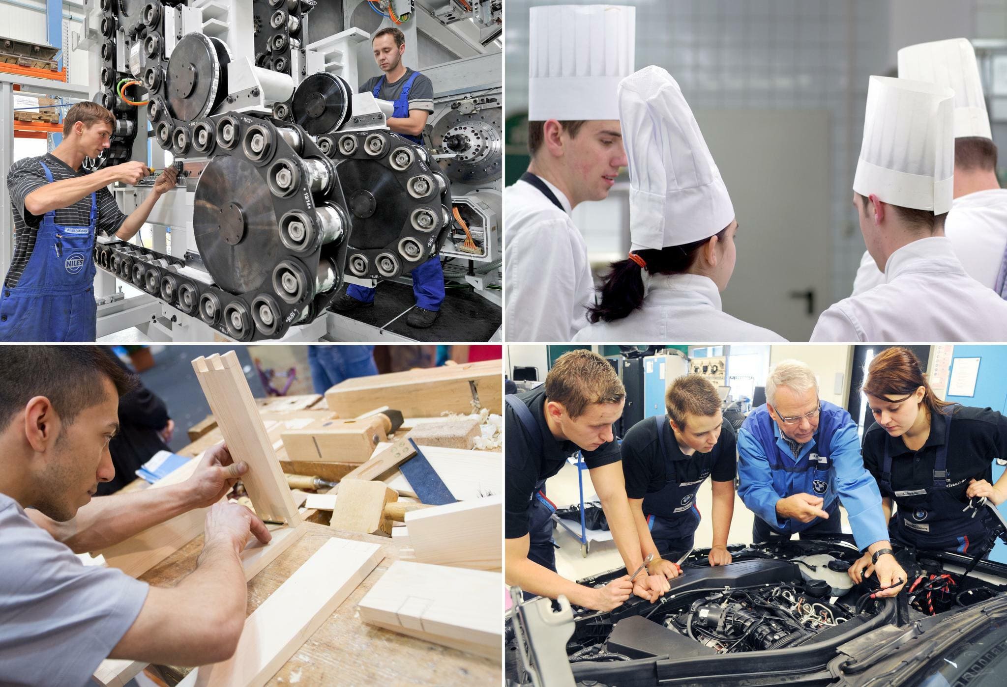 Practical vocational training in Germany
